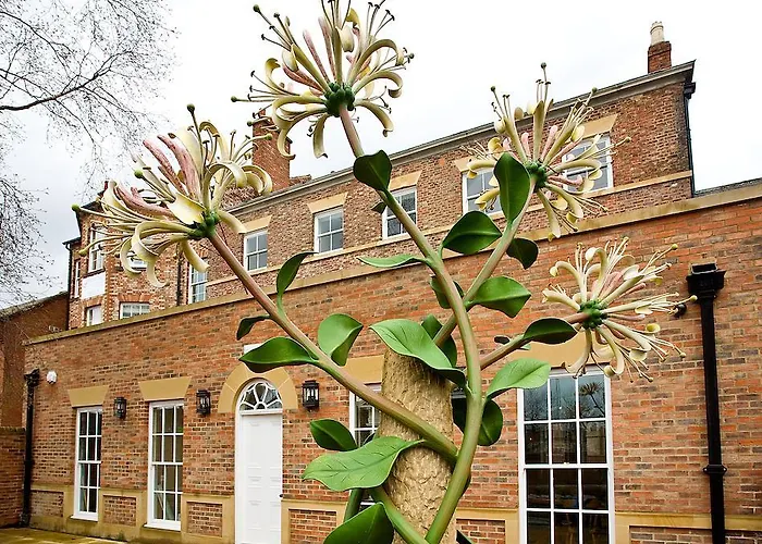 Boutique Hotels in Darlington (Durham)