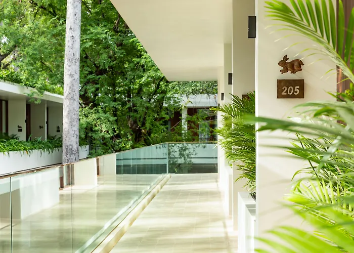 Fcc Angkor By Avani Siem Reap