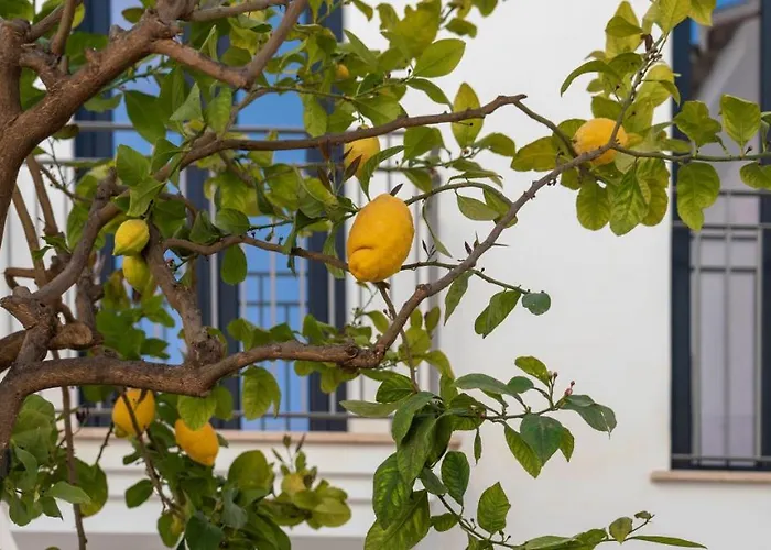 Boutique Hotels in San Roque (Andalucia)