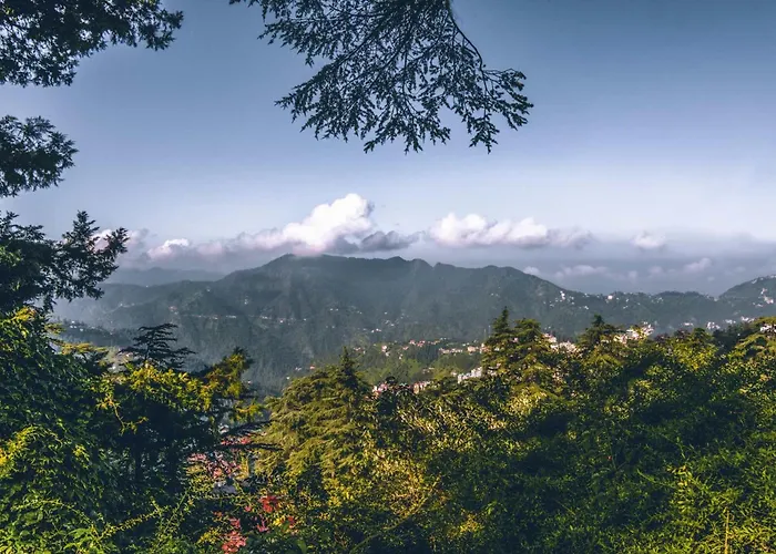 Stayvista At Rose Cottage - Bonfire & Scenic View Shimla