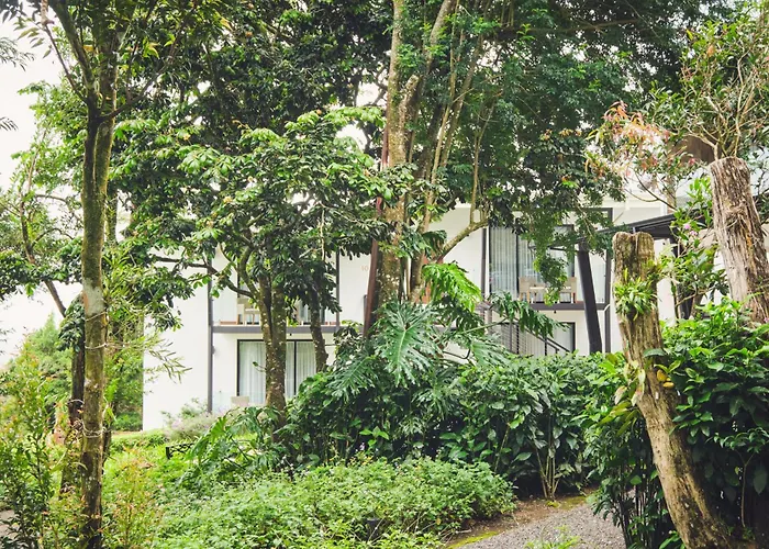 Boutique Hotels in Monteverde