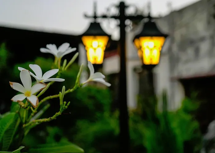 Stay Banaras - A Boutique Hotel In Sigra Varanasi