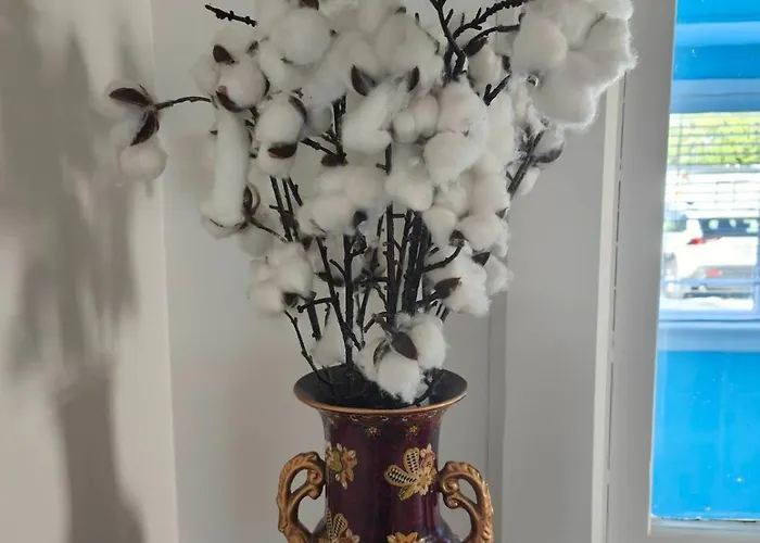 Beautiful Villa Near Everything! Christchurch