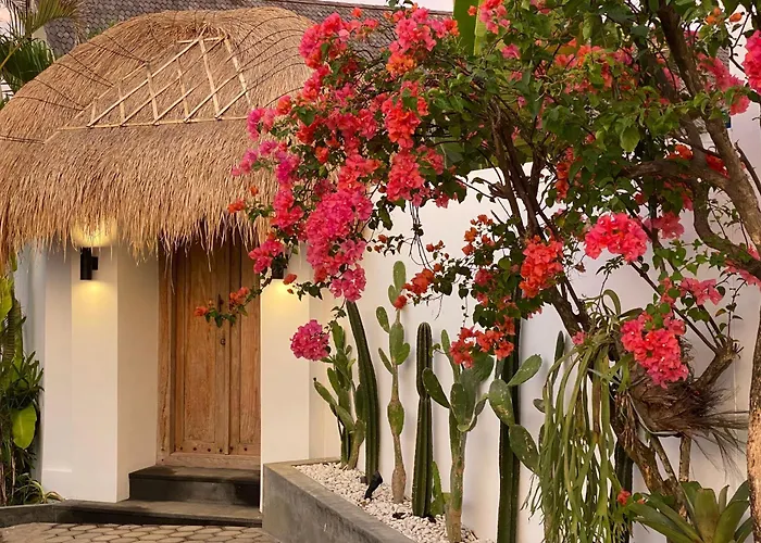 The Young Villas - Canggu