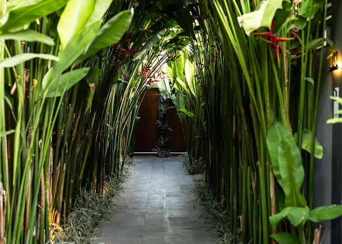The Clifton Villas Canggu