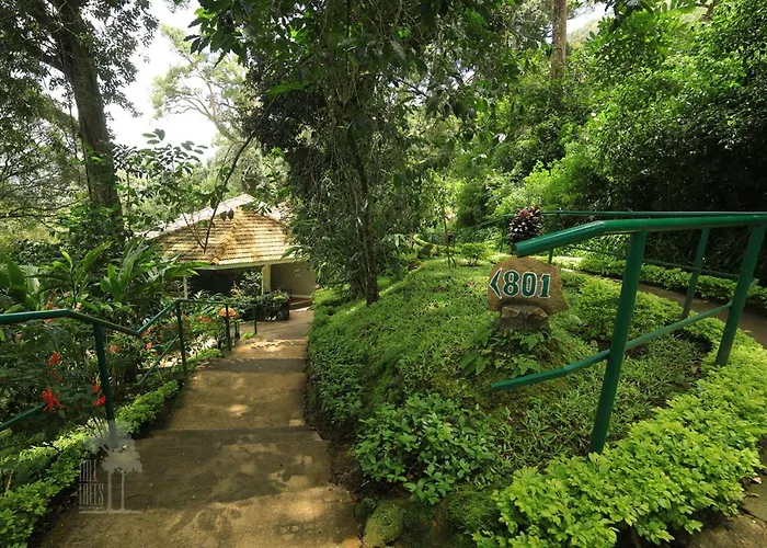 The Tall Trees Munnar