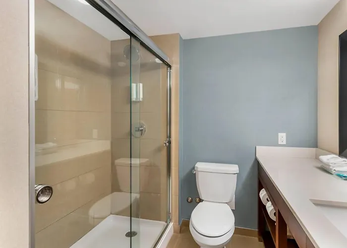 Clarion Hotel & Suites Brandon